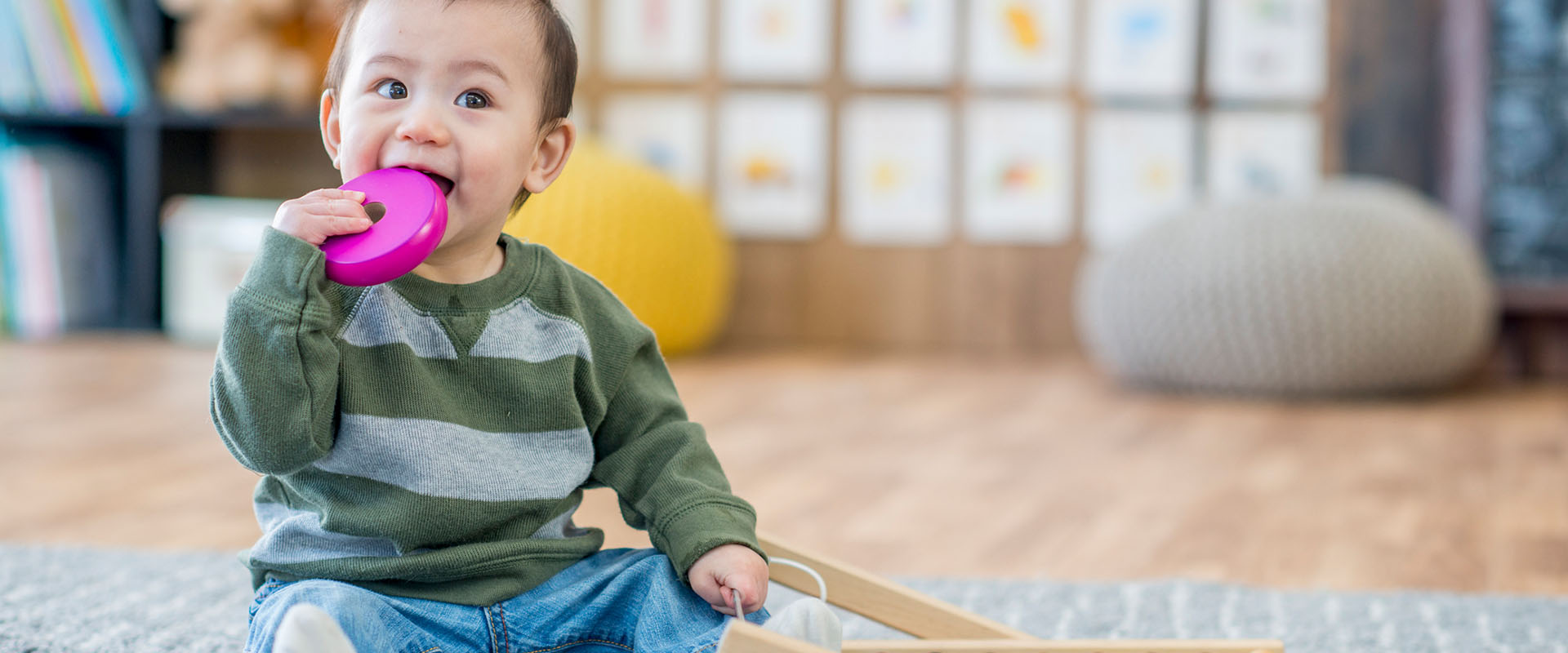 Play and Learning at Home Under 3's